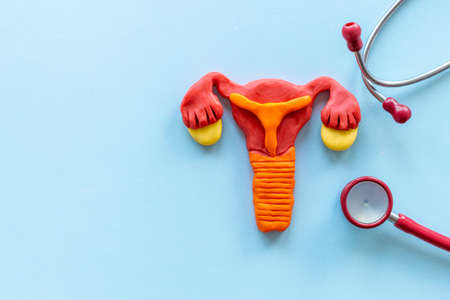 Women health care concept with female uterus and stethoscopeの写真素材