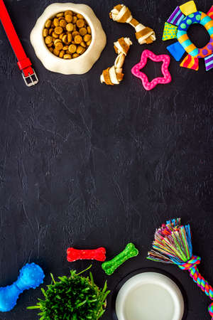 Dry pet food in bowl with toys and treats for dogs and catsの写真素材