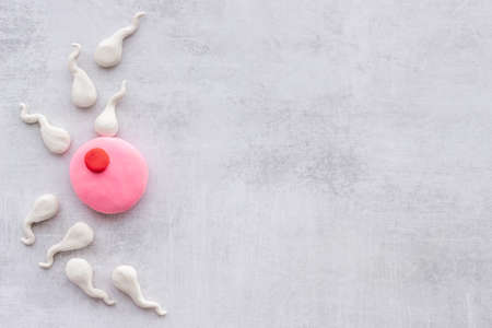 Female ovum and sperm made of plasticine. Pregnancy conceptの写真素材