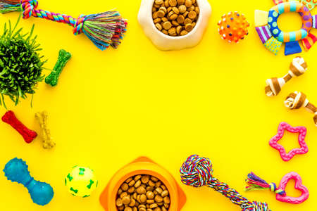 Dry pet food in bowl with toys and treats for dogs and catsの写真素材