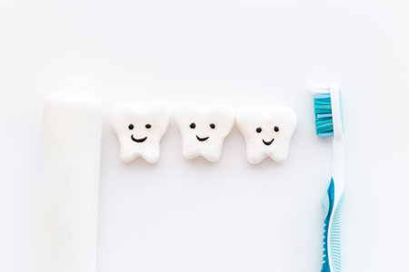 Teeth models with toothbrush. Oral health and care concept
