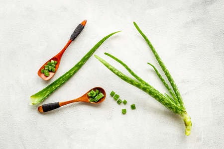 Aloe vera green leaves and slices for herbal medical skin careの写真素材
