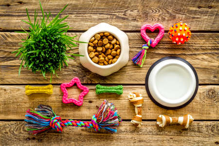 Pet accessories top view. Dry dog and cat food with toysの写真素材