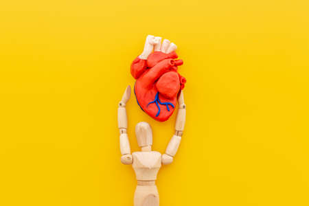 Red heart model with human figurine top view. Cardioigy and heart health conceptの写真素材