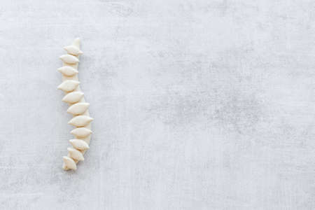 Anatomical human spine skeleton model. Spinal health and diseases conceptの写真素材