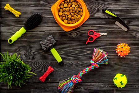 Pet care background top view. Dry dog and cat food with toysの写真素材