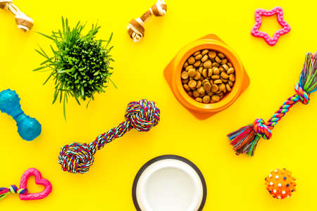 Pet accessories top view. Dry dog and cat food with toysの写真素材