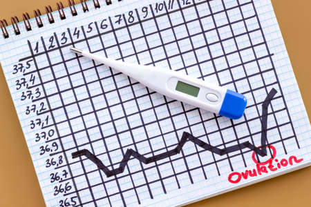 Basal ovulation temperature chart with thermometer, top viewの写真素材