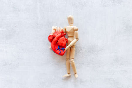 Red heart model with human figurine top view. Cardioigy and heart health conceptの写真素材