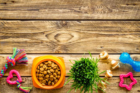 Dog or cat food in bowl with treats and toys, top viewの写真素材