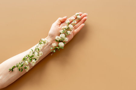 Female hand with white blossoms flowers. Beauty youth conceptの写真素材
