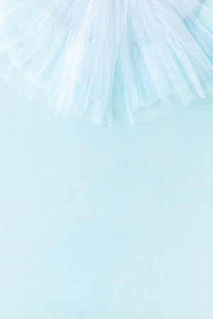 Ballet tutu skirt - dress for dancer ballerina, top viewの写真素材
