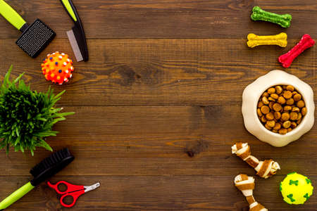 Dog food and toys with grooming tools, top viewの写真素材