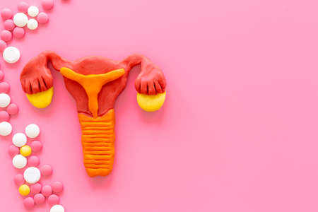 Women health concept - female uterus and ovaries model with medical pillsの写真素材
