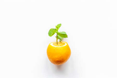 Cocktail concept. Orange with mint as cocktail tube in shape of glassの写真素材