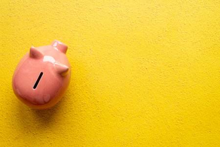 Pink piggy bank top view. Currency saving and investments concept