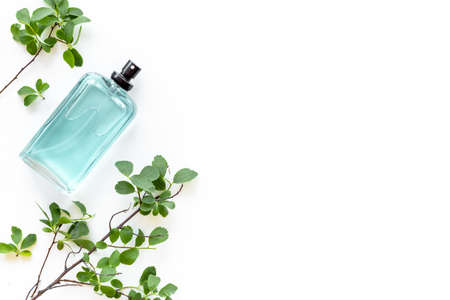 Arabian oud perfume or oil with agar wood treeの写真素材