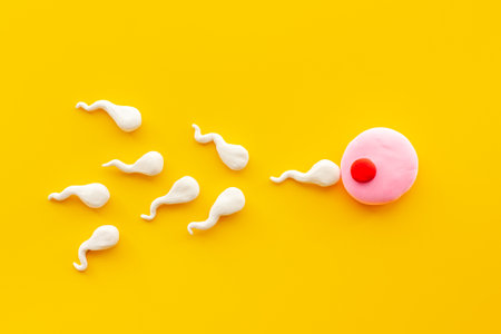 Sperm cells swim to egg female ovum. Pregnancy conceptの写真素材