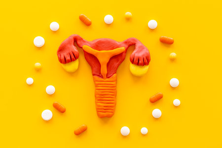Female uterine cancer of women health concept with uterus and ovaries modelの写真素材