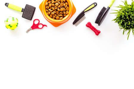 Pet care background top view. Dry dog and cat food with toysの写真素材