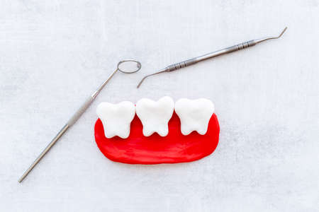 Oral health and care concept with teeth models with dentist toolsの写真素材