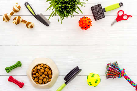 Pet care set with dry food in bowl with toys and treats