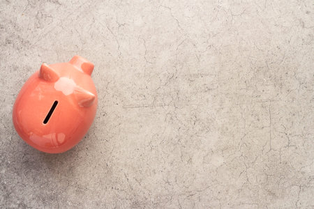 Pink piggy bank top view. Currency saving and investments concept