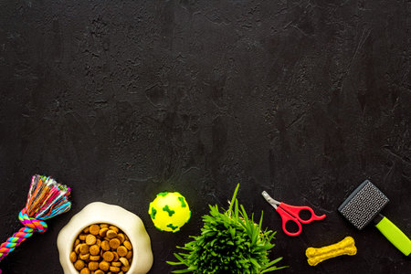 Dog food and toys with grooming tools, top view