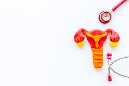 Female uterine cancer of women health concept with uterus and ovaries model
