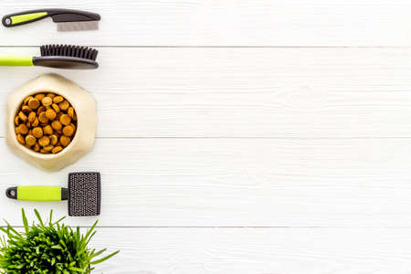 Dog food and toys with grooming tools, top view