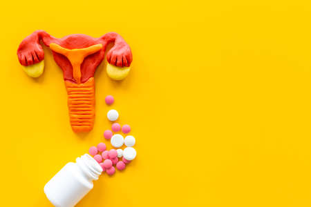 Model of female reproductive system with medical pillsの写真素材