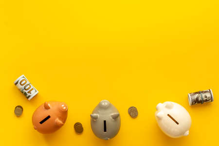 Cash money saving and investments with piggy banksの写真素材