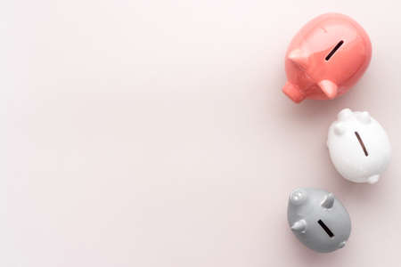 Currency saving with piggy bank. Financial planning and investments conceptの写真素材