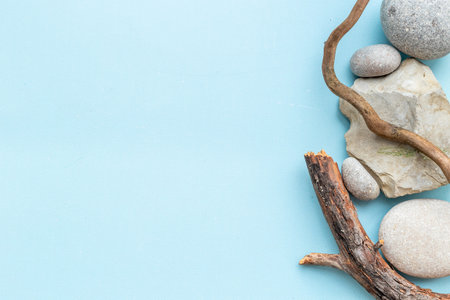 Natural mineral rock stones with snag tree branch