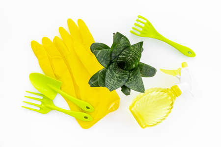 House gardening hobbies activities. Set of garden accessories with plantの写真素材