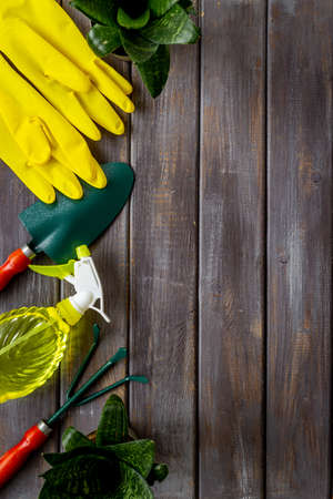 Set of garden accessories and tools. House gardening equipmentの写真素材