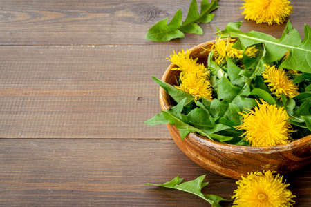 Meadow healing herbs - yellow dandelions blossoms and leaves in bowlの写真素材