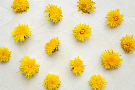 Yellow meadow dandelions blossoms flowers. Floral backgroundの写真素材