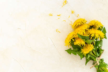 Small posy of yellow dandelions blossoms. Summer floral backgroundの写真素材
