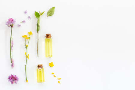 Cosmetic products with medicinal herbs essential oil in bottlesの写真素材