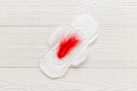 Menstruation period concept. White pad with red feather, top viewの写真素材
