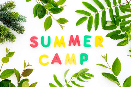 Text Summer Camp with green tree branches. Forest kids camp conceptの写真素材
