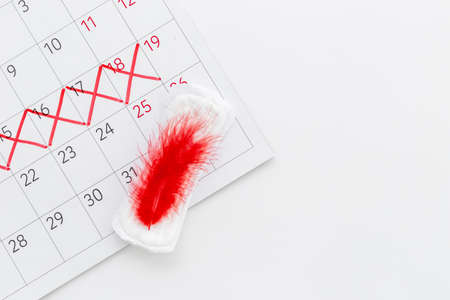 Menstruation period concept. White pad with red feather, top viewの写真素材