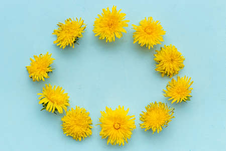 Pattern of yellow meadow dandelions blossoms. Flowers summer symbolの写真素材
