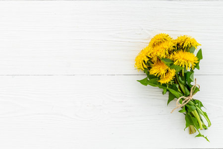 Yellow meadow dandelions flowers posy. Summer floral backgroundの写真素材