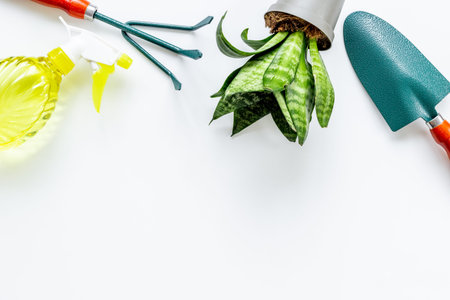 Set of garden accessories for planting seedlings. Garden accessories with green plant