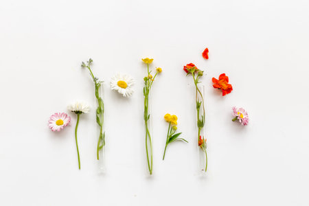 Essence of wild medicinal herbs. Herbal apothecary with wild flowersの写真素材