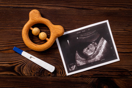 Stenography pregnancy picture of embryo with baby bootiesの写真素材