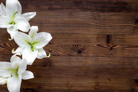 Branch of white lilies flowers. Mourning or funeral backgroundの写真素材