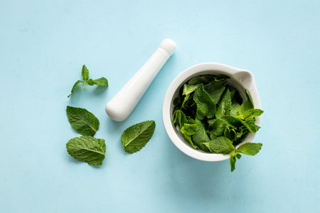 Healing herbs - green mint leaves in mortar for medicineの写真素材